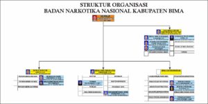 Struktur Organisasi BNNK Bima